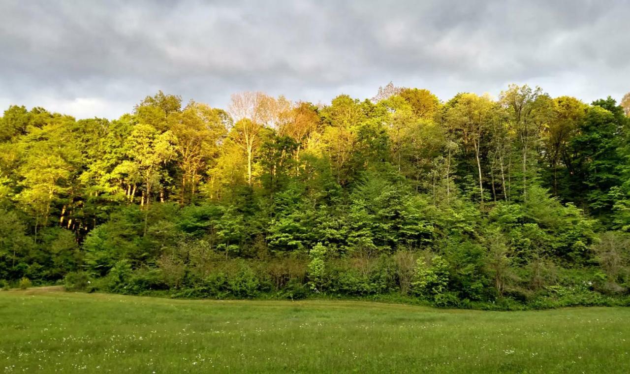 Hotel Altenbrauch Farm - Camping In The Hocking Hills Stella Exteriér fotografie